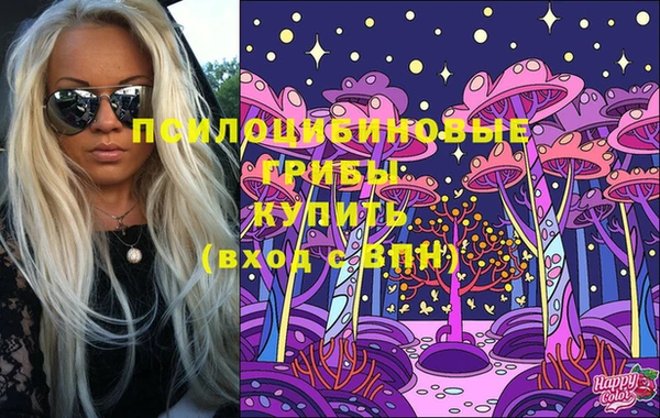 гашик Белоозёрский