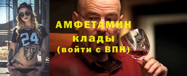 spice Богородицк