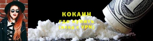 стаф Богородск