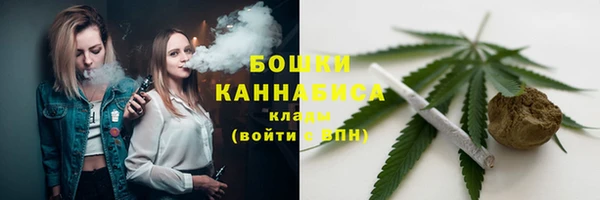 стаф Богородск