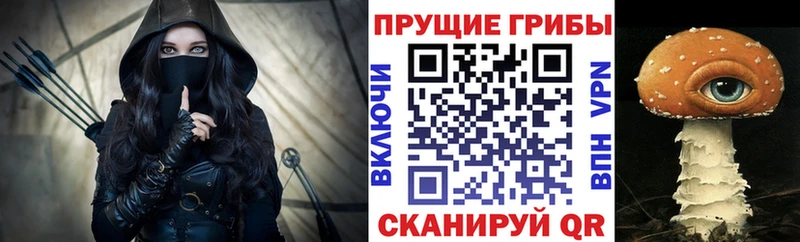 ОМГ ОМГ ссылка  Сковородино  Псилоцибиновые грибы Magic Shrooms 